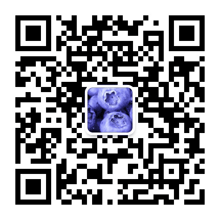 大理上汇蓝莓公众号二维码