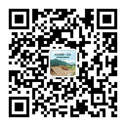 灵台清韵公众号二维码