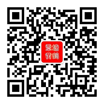 覃塘黄鹤公众号二维码