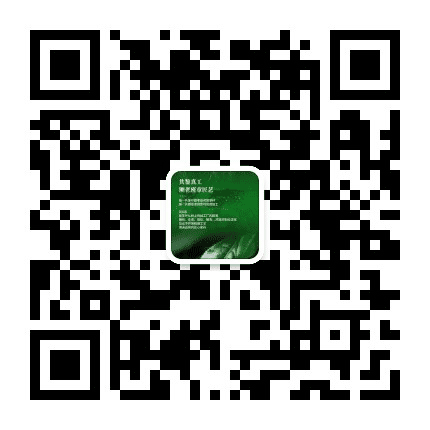 梨山乌龙公众号二维码