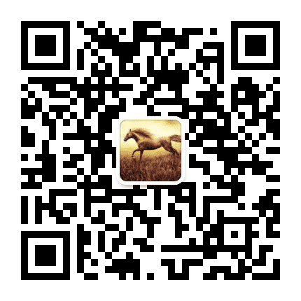 奉贤民族联公众号二维码