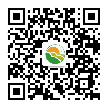 新淮人力公众号二维码