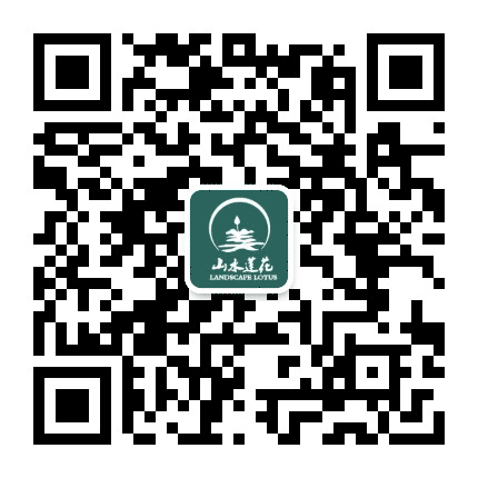 山水莲花公众号二维码