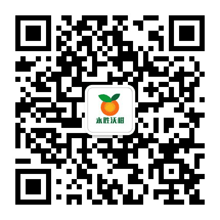 永胜沃柑公众号二维码
