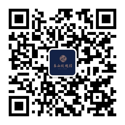 泰山玫瑰园公众号二维码