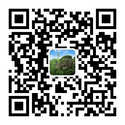 爱游国旅平远分公司公众号二维码