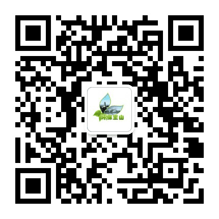 环保宝山公众号二维码