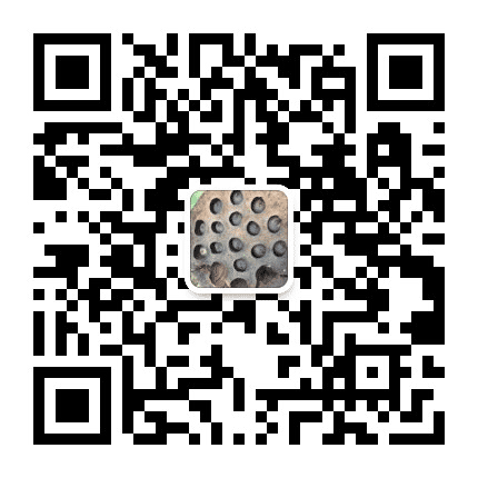 龙岩头牌美食公众号二维码