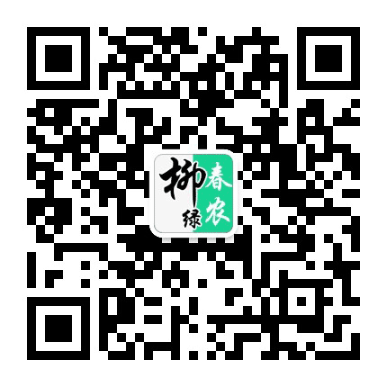 柳绿春农公众号二维码
