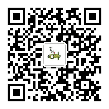 今日震泽公众号二维码