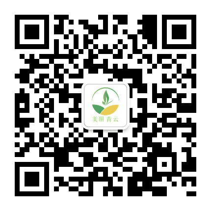 美丽青云公众号二维码