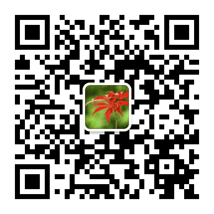 日照莒县青华幼儿园公众号二维码