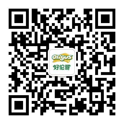 好伦哥金碧店公众号二维码