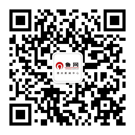 鲁网德州公众号二维码