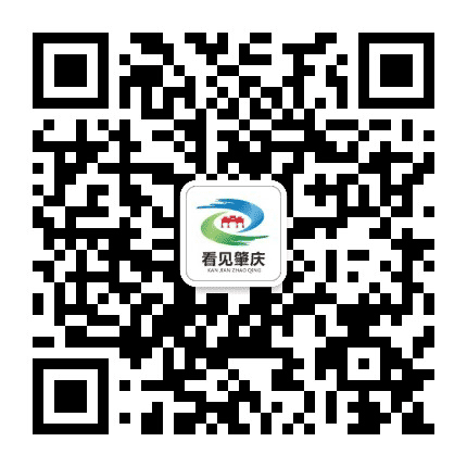 看见肇庆公众号二维码