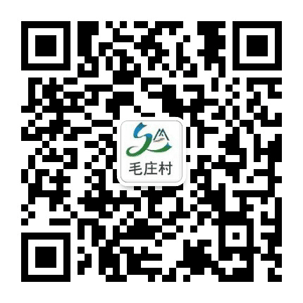 毛庄风采公众号二维码