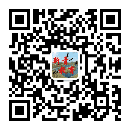 新青教育公众号二维码