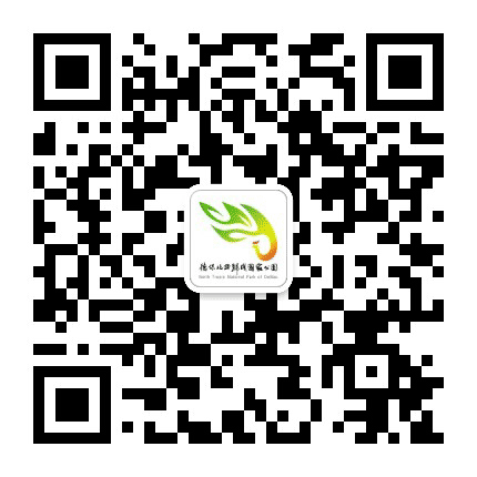 德保旅游公众号二维码