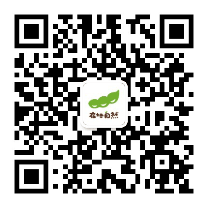 石城自然学校公众号二维码