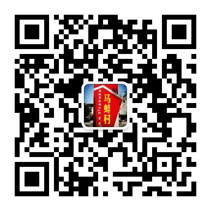 马蚌村委会公众号二维码