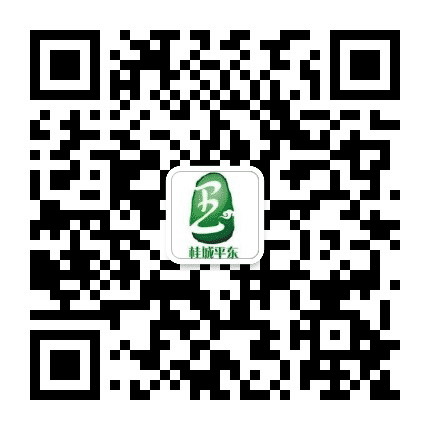 桂城平东社区公众号二维码