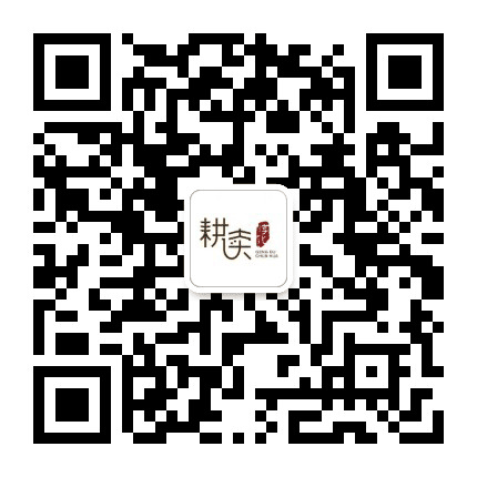 微淳化公众号二维码