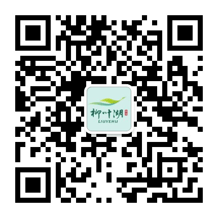 我在常德柳叶湖公众号二维码