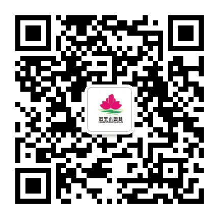 天山之火映山红公众号二维码