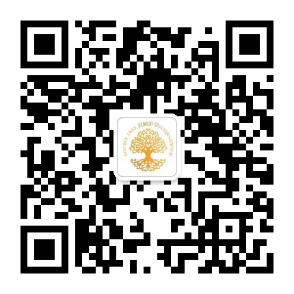 双树国际公众号二维码