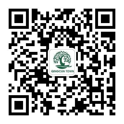 今日青村公众号二维码