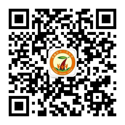 汕头市龙湖区下三合小学公众号二维码