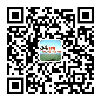 平安庆元公众号二维码