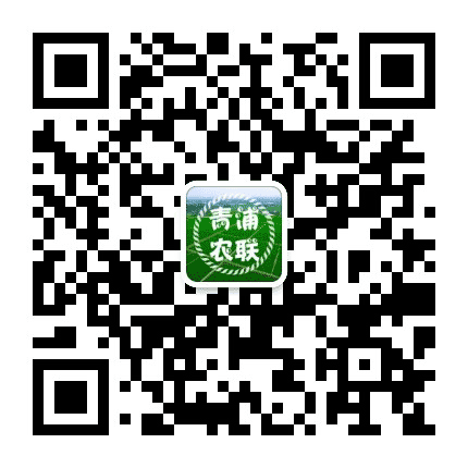 青浦农联公众号二维码