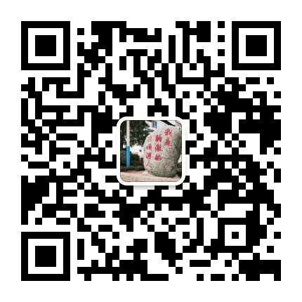 顺河而上公众号二维码