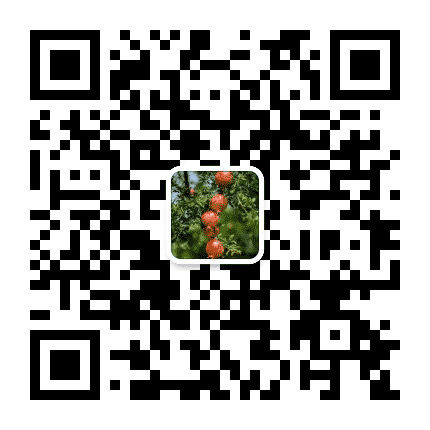 峄城文艺公众号二维码
