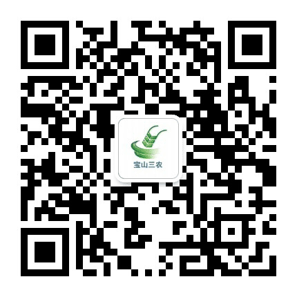 宝山三农公众号二维码