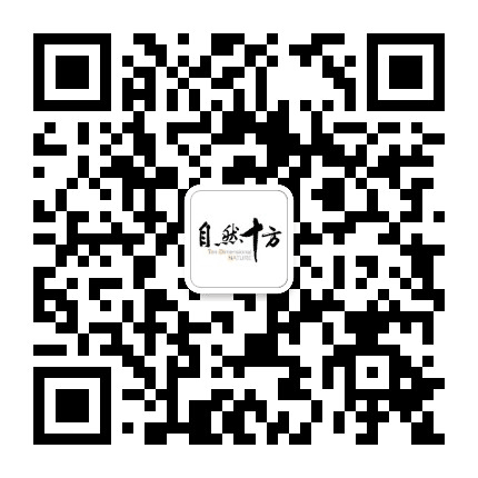 自然十方公众号二维码