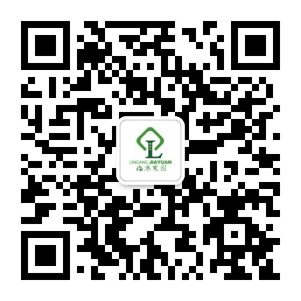 临港家园居委会公众号二维码