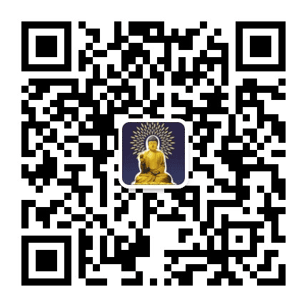 三宝课程公众号二维码