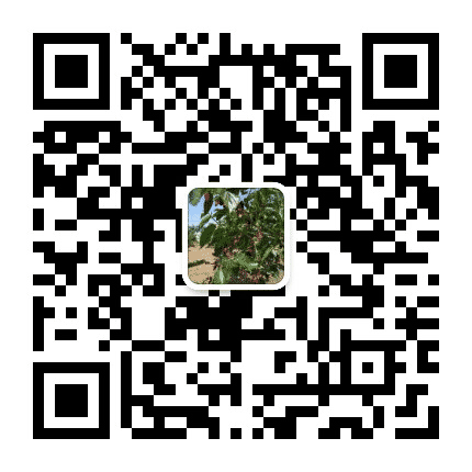 官庄湖桑葚采摘园公众号二维码