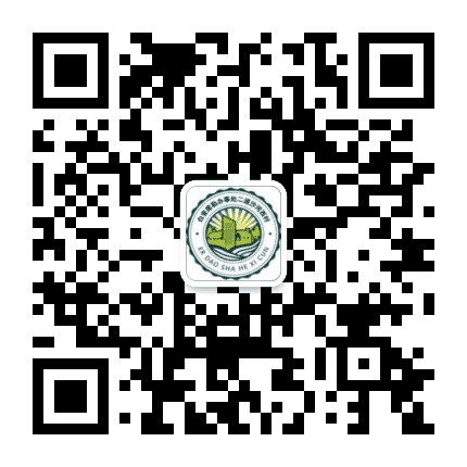 二道沙河西村公众号二维码