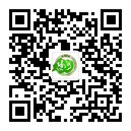 塔河文旅公众号二维码