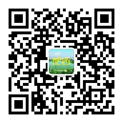 肥西老乡网公众号二维码