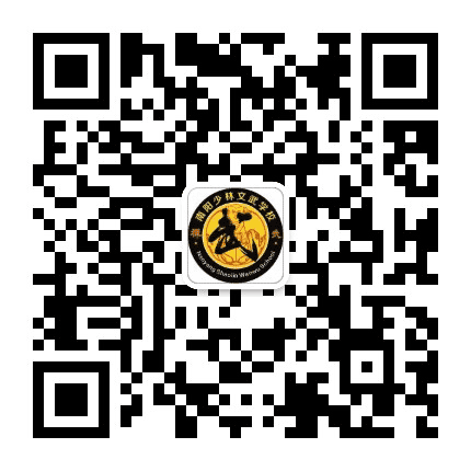 南阳少林文武学校公众号二维码
