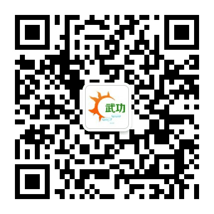 新武功公众号二维码