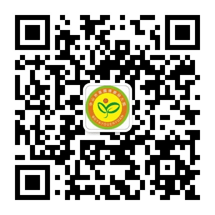 黄圃博雅幼儿园公众号二维码
