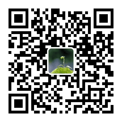 宁波志峰教育公众号二维码