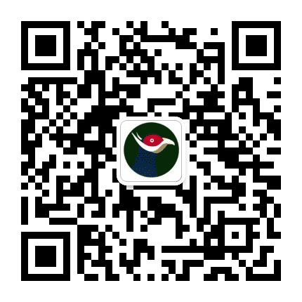 金华山下九龙湾公众号二维码