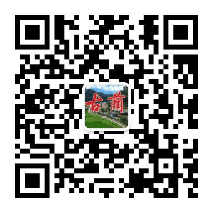临漳这点事公众号二维码