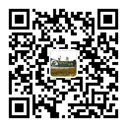 多彩龙岗公众号二维码
